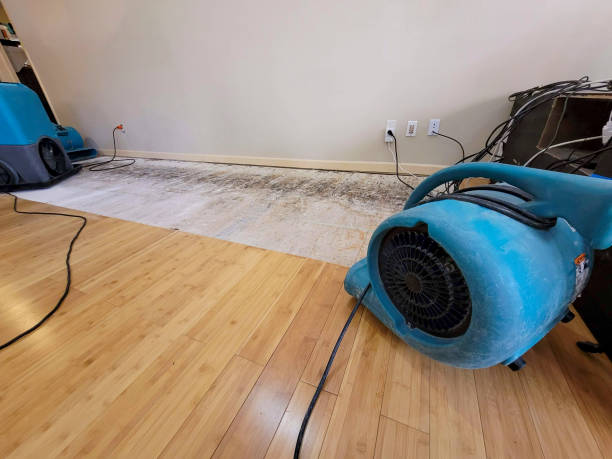 Professional Water Damage Repair technician working in West Springfield, PA